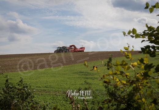 #1509214228 - crédit Nadège PETIT @agri zoom