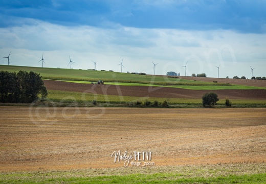 #1509214236 - crédit Nadège PETIT @agri zoom