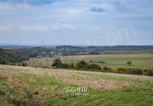 #1509214252 - crédit Nadège PETIT @agri zoom