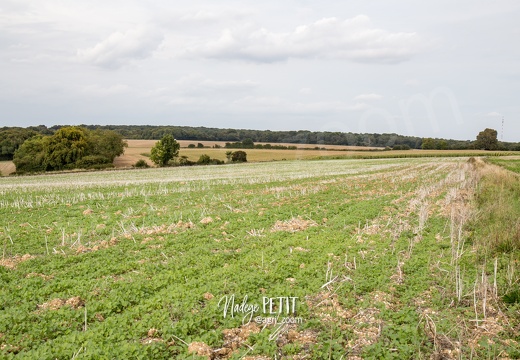 #1509214259 - crédit Nadège PETIT @agri zoom