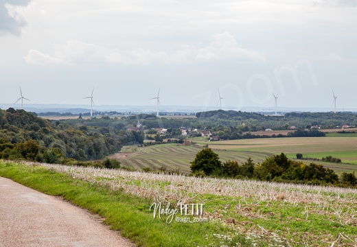 #1509214262 - crédit Nadège PETIT @agri zoom