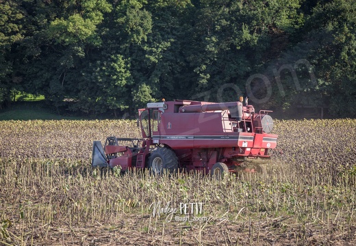 #1509294441 - crédit Nadège PETIT @agri zoom