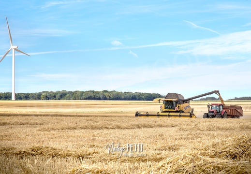 #150730 - crédit Nadège PETIT @agri zoom-2