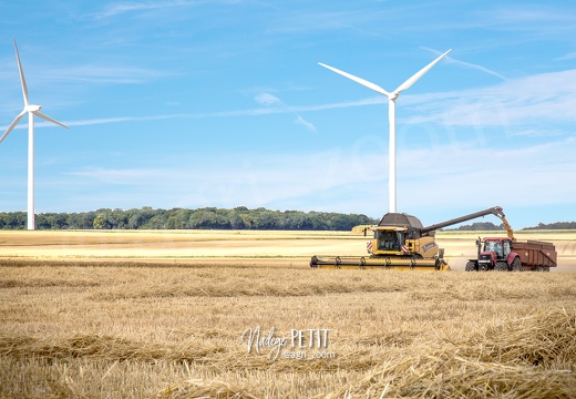 #150730100 - crédit Nadège PETIT @agri zoom