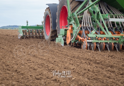 #1510084613 - crédit Nadège PETIT @agri zoom