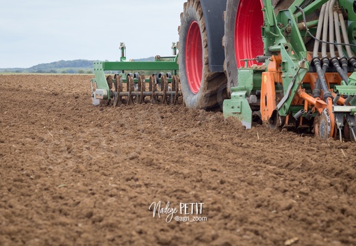 #1510084615 - crédit Nadège PETIT @agri zoom