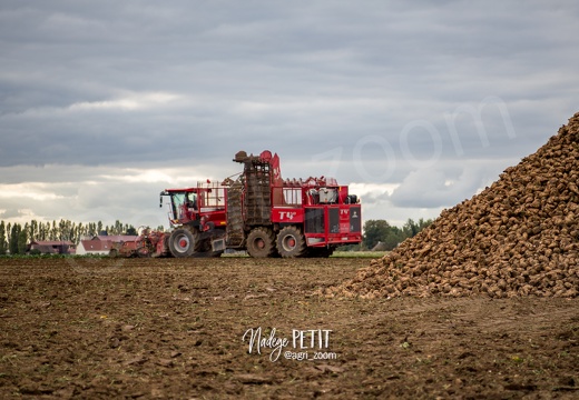 #1510084630 - crédit Nadège PETIT @agri zoom