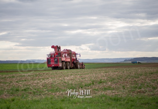 #1510084632 - crédit Nadège PETIT @agri zoom