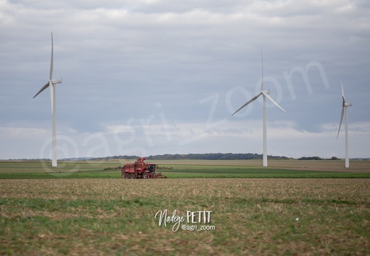 #1510084635 - crédit Nadège PETIT @agri zoom