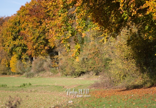 #1510315828 - crédit Nadège PETIT @agri zoom