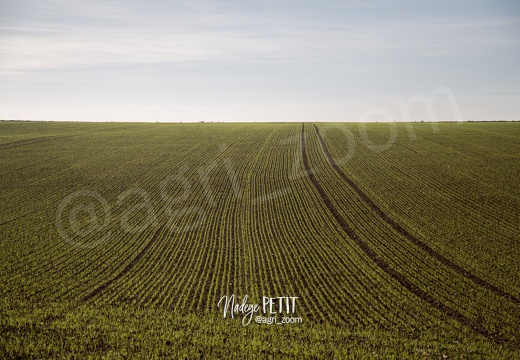 #1510315829 - crédit Nadège PETIT @agri zoom