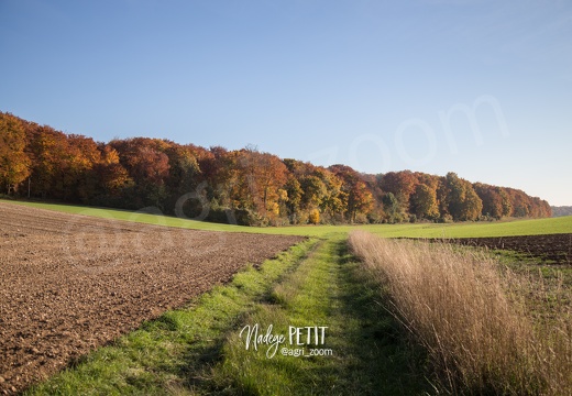 #1510315850 - crédit Nadège PETIT @agri zoom