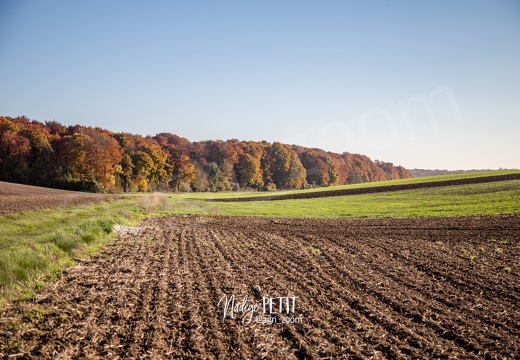 #1510315853 - crédit Nadège PETIT @agri zoom