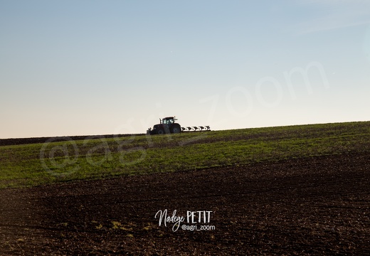 #1510315918 - crédit Nadège PETIT @agri zoom