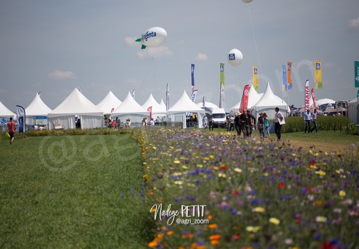 #1506250016 - crédit Nadège PETIT @agri zoom