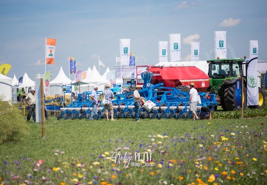 #1506250024 - crédit Nadège PETIT @agri zoom