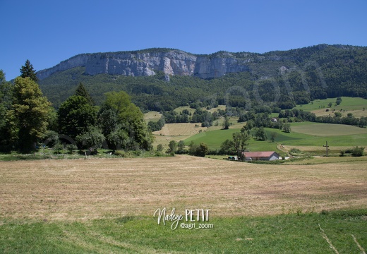 #1506300798 - crédit Nadège PETIT @agri zoom