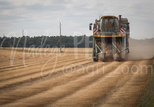 #1507131319 - crédit Nadège PETIT @agri zoom