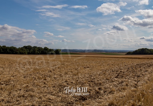 #1507171408 - crédit Nadège PETIT @agri zoom