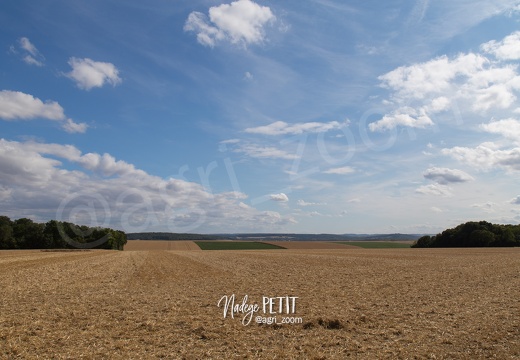 #1507171410 - crédit Nadège PETIT @agri zoom