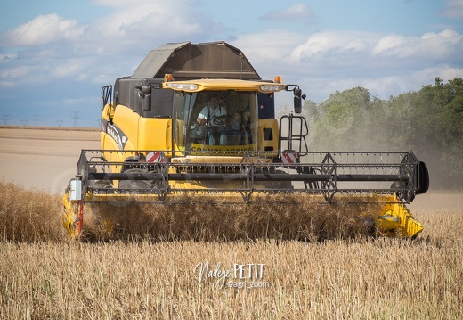 #1507171421 - crédit Nadège PETIT @agri zoom