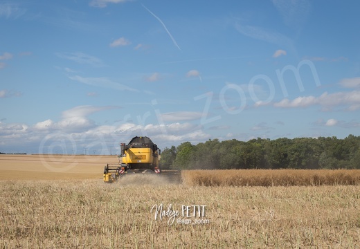 #1507171424 - crédit Nadège PETIT @agri zoom