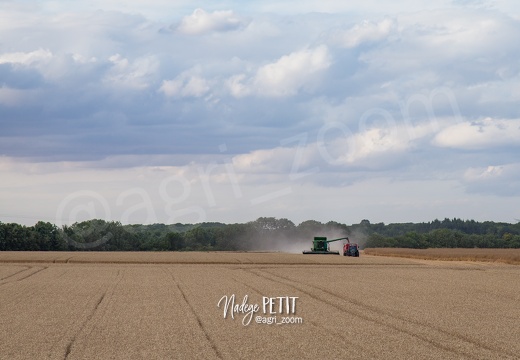 #1507171480 - crédit Nadège PETIT @agri zoom