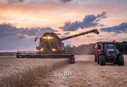 #1507211636 - crédit Nadège PETIT @agri zoom