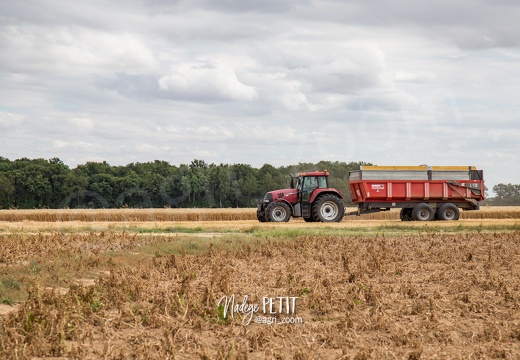 #1507221702 - crédit Nadège PETIT @agri zoom