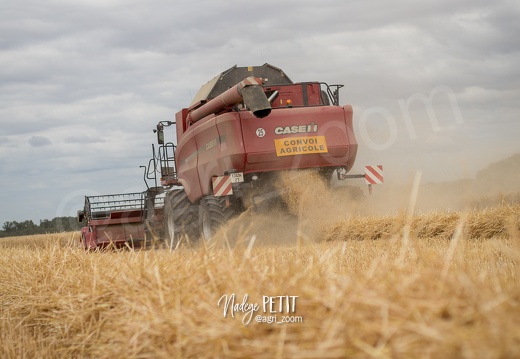 #1507221796 - crédit Nadège PETIT @agri zoom