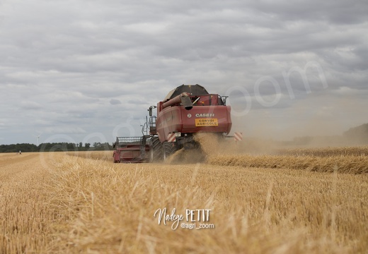 #1507221797 - crédit Nadège PETIT @agri zoom