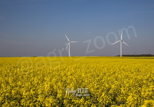 #1504212819 - crédit Nadège PETIT @agri zoom