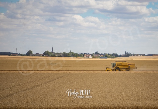 #1507231897 - crédit Nadège PETIT @agri zoom