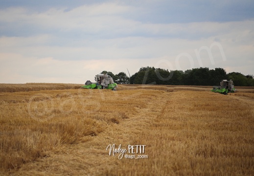 #1507241978 - crédit Nadège PETIT @agri zoom