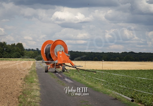 #1507302118 - crédit Nadège PETIT @agri zoom