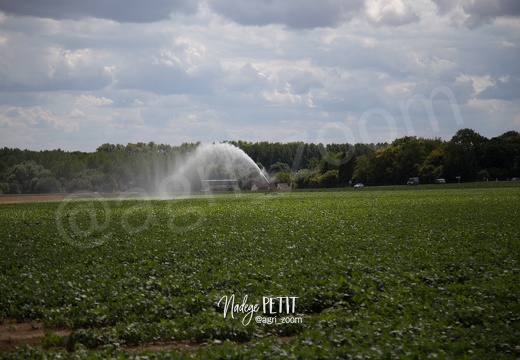 #1507302155 - crédit Nadège PETIT @agri zoom