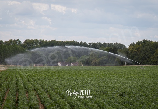 #1507302222 - crédit Nadège PETIT @agri zoom