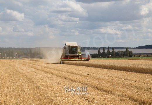 #1507302302 - crédit Nadège PETIT @agri zoom