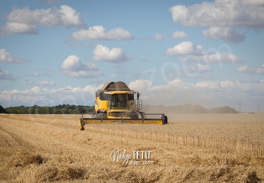 #1507302325 - crédit Nadège PETIT @agri zoom