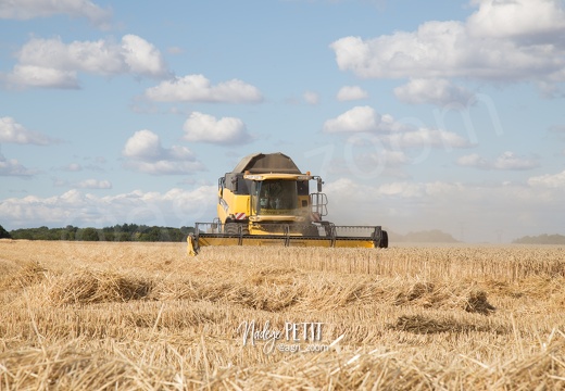 #1507302326 - crédit Nadège PETIT @agri zoom