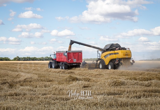 #1507302340 - crédit Nadège PETIT @agri zoom