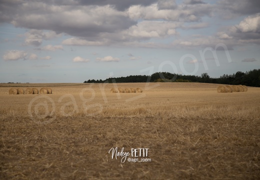 #1508102661 - crédit Nadège PETIT @agri zoom