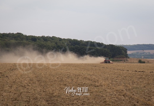 #1508172780 - crédit Nadège PETIT @agri zoom