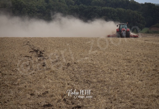 #1508172781 - crédit Nadège PETIT @agri zoom