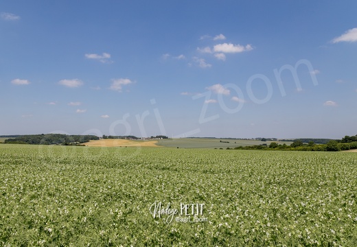 #1506105603 - crédit Nadège PETIT @agri zoom