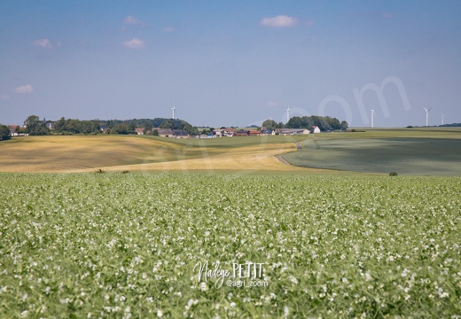 #1506105614 - crédit Nadège PETIT @agri zoom