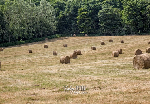 #1506105703 - crédit Nadège PETIT @agri zoom