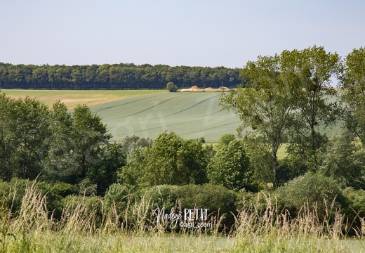 #1506115706 - crédit Nadège PETIT @agri zoom