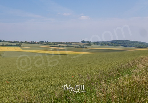 #1506115730 - crédit Nadège PETIT @agri zoom