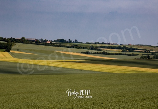 #1506115732 - crédit Nadège PETIT @agri zoom